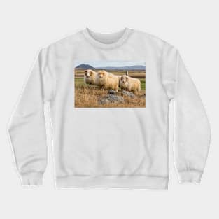 Icelandic Sheep Crewneck Sweatshirt